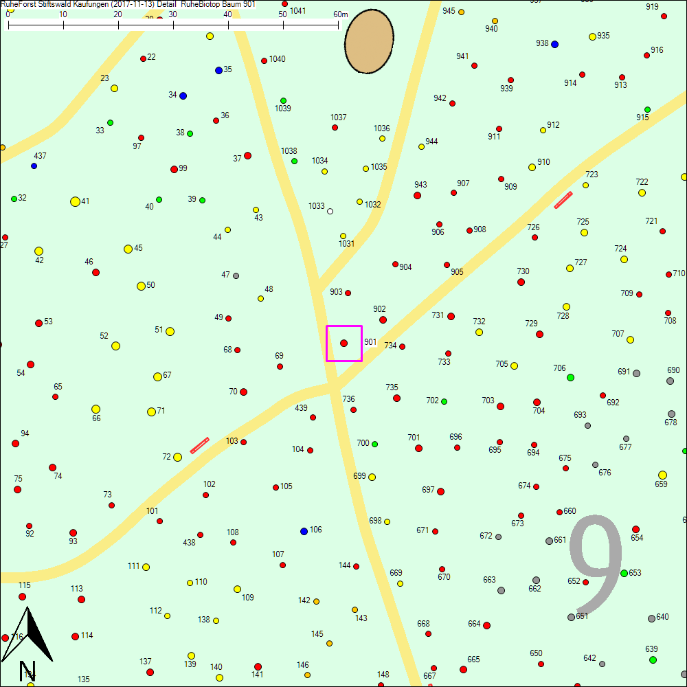 Detailkarte zu Baum 901