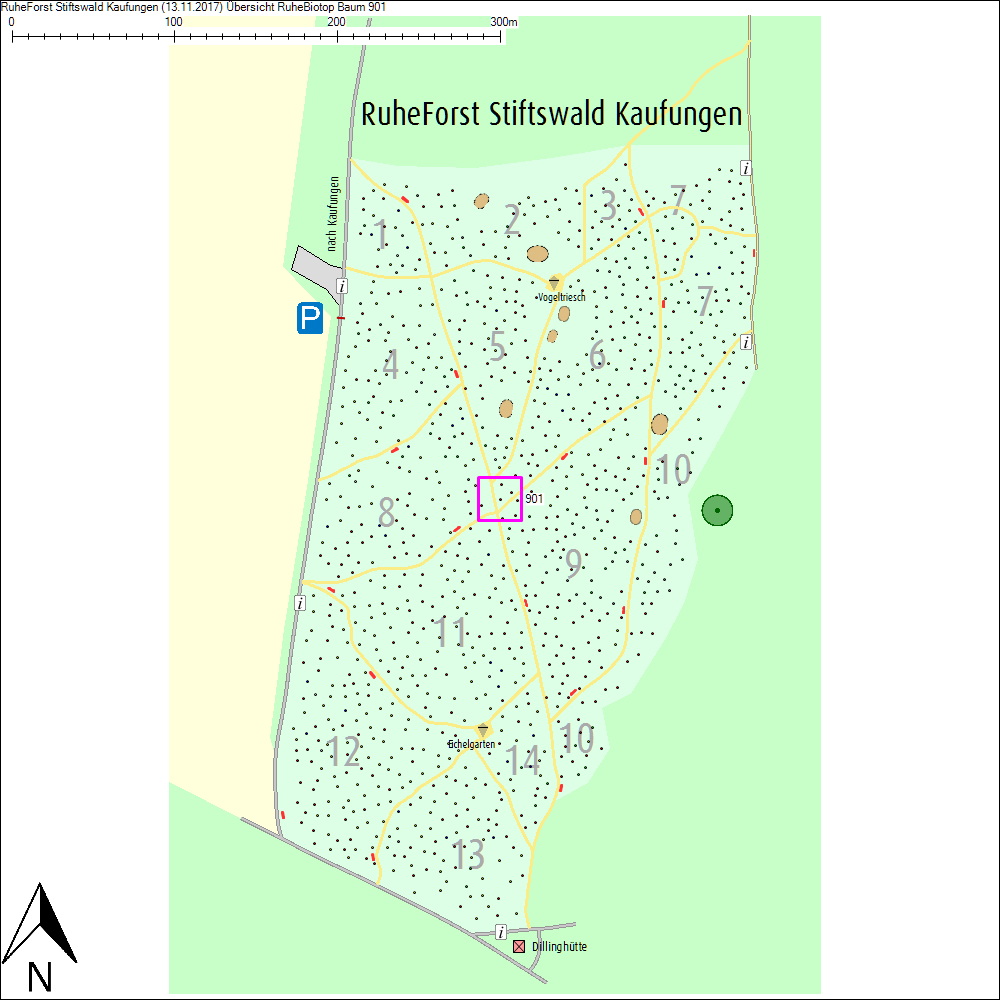&Uuml;bersichtskarte zu Baum 901