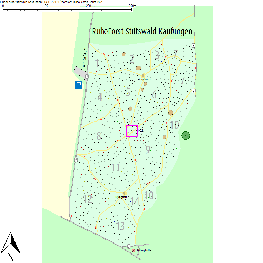 &Uuml;bersichtskarte zu Baum 902