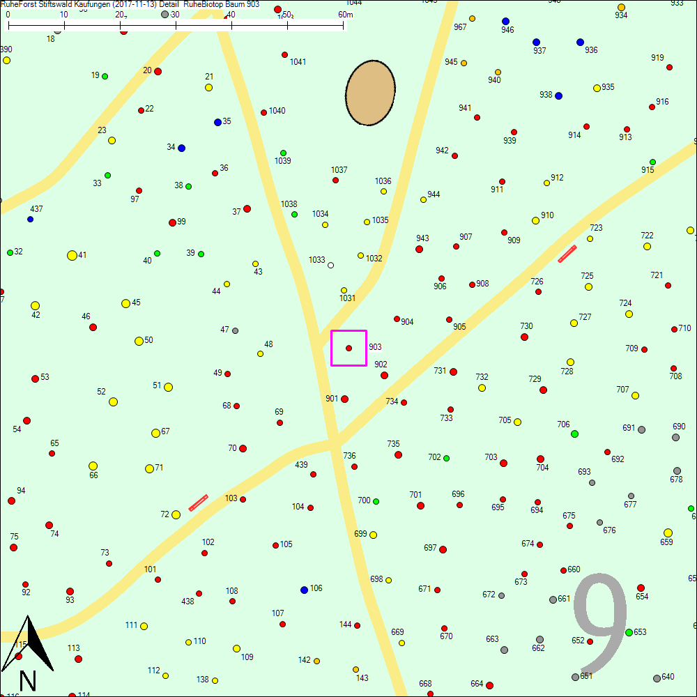Detailkarte zu Baum 903