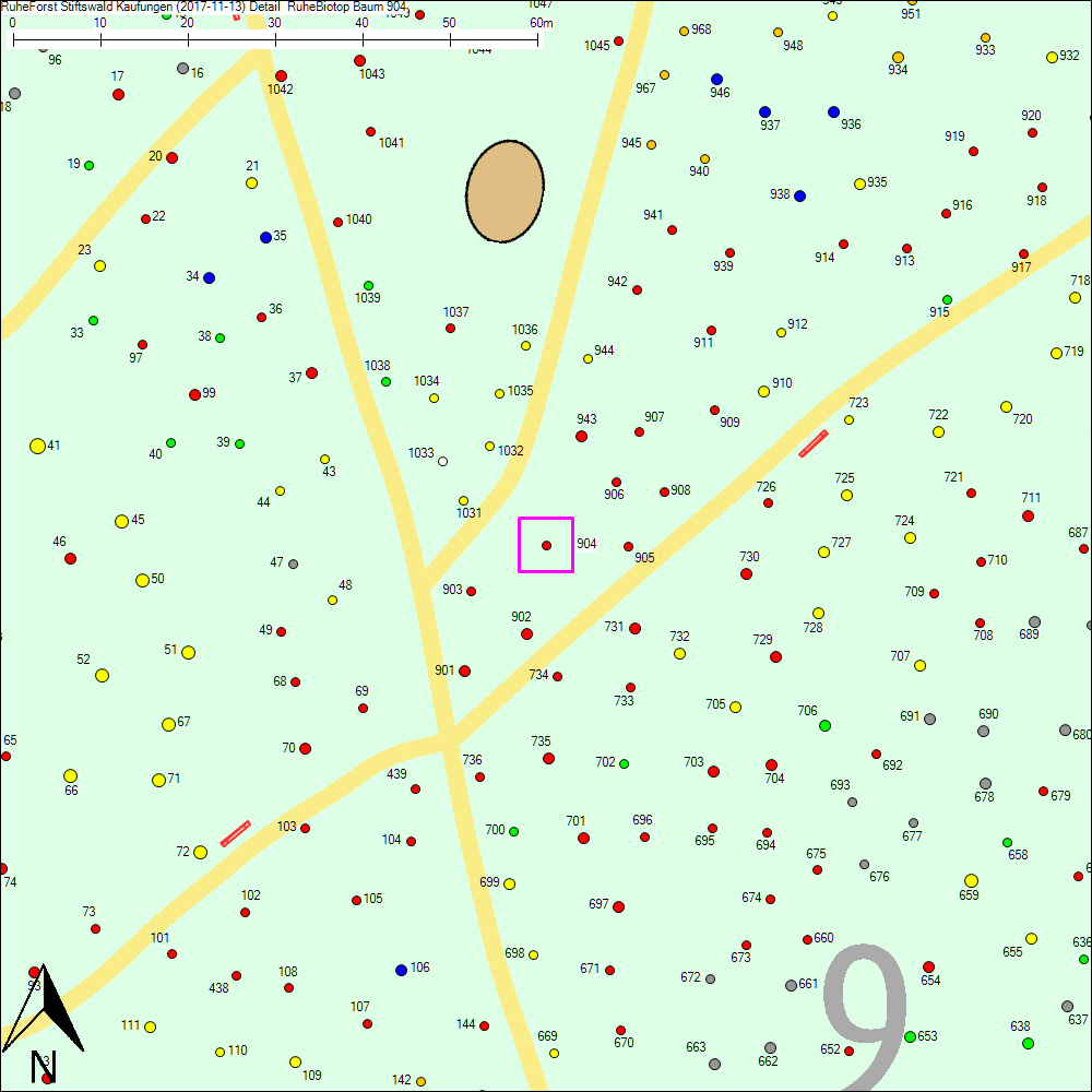 Detailkarte zu Baum 904