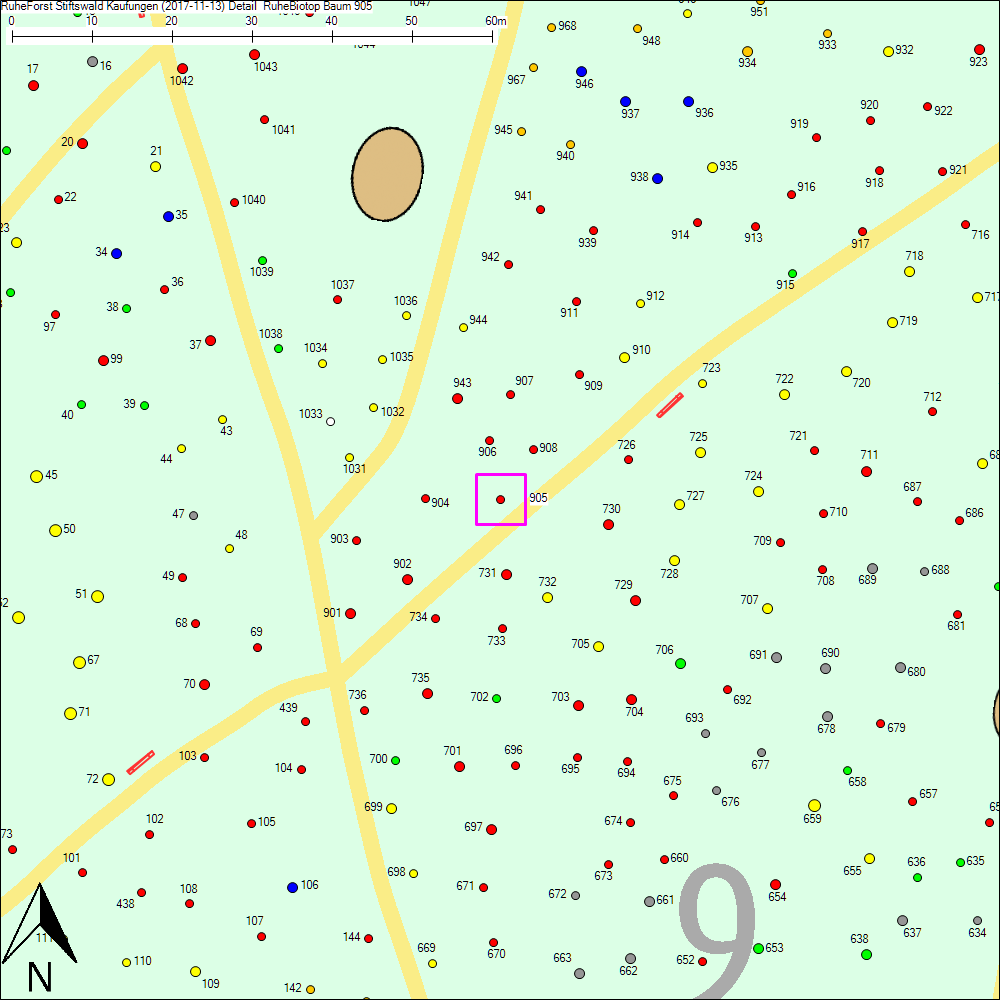 Detailkarte zu Baum 905