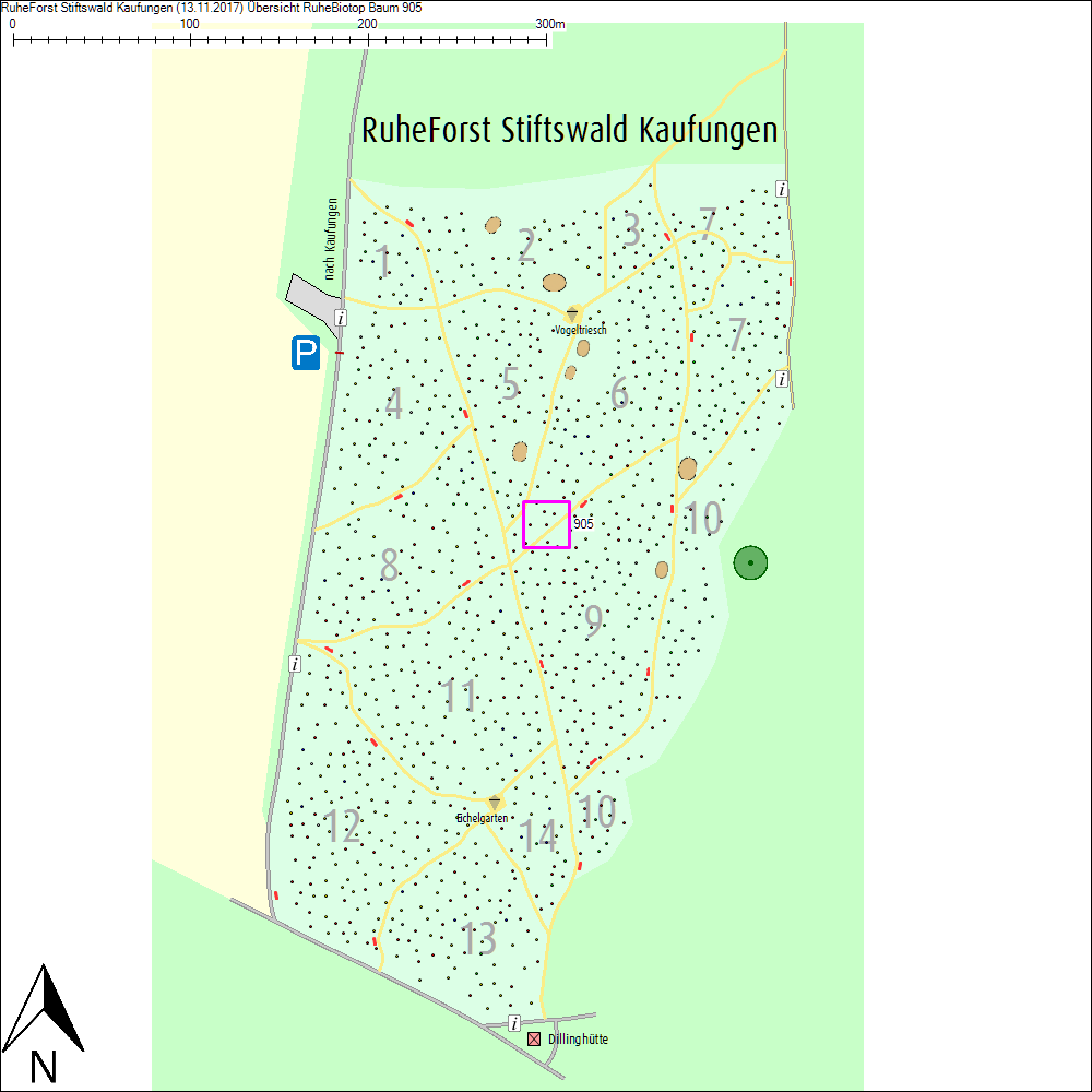 &Uuml;bersichtskarte zu Baum 905
