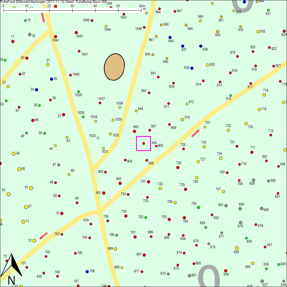 Detailkarte zu Baum 906