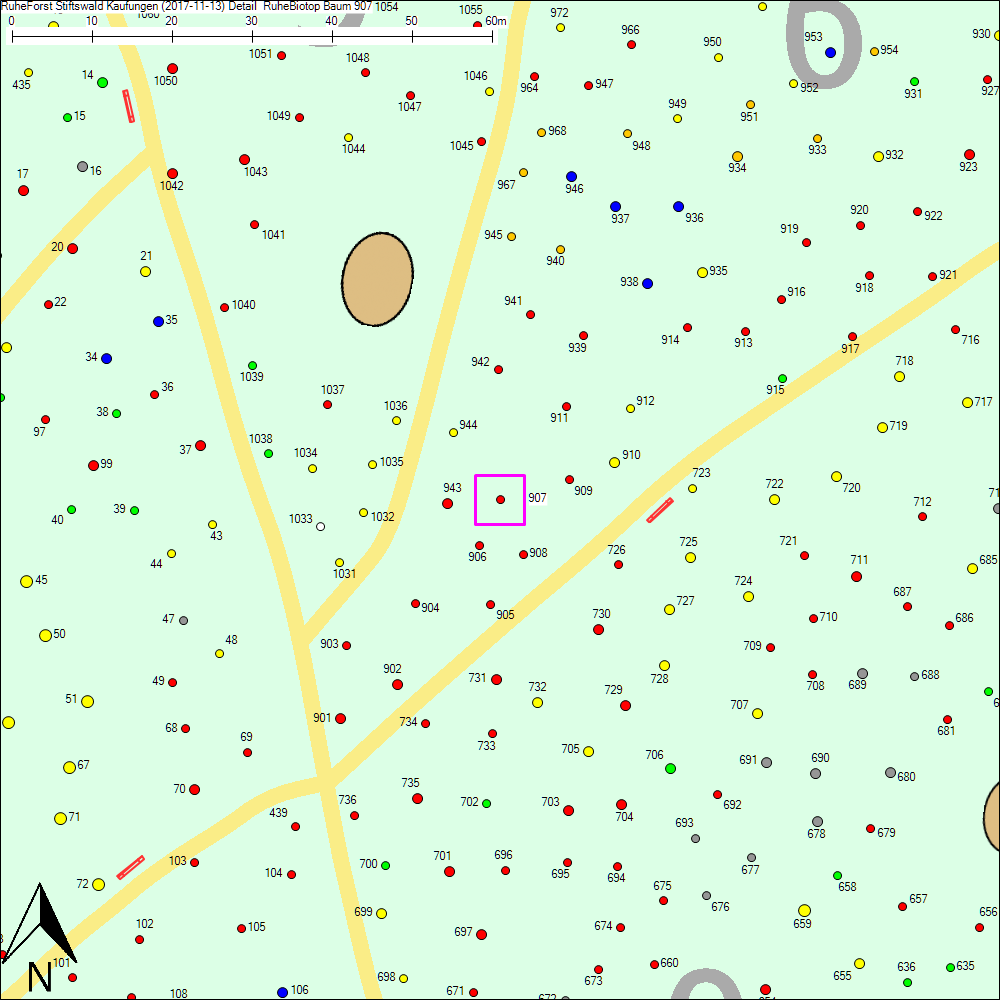 Detailkarte zu Baum 907