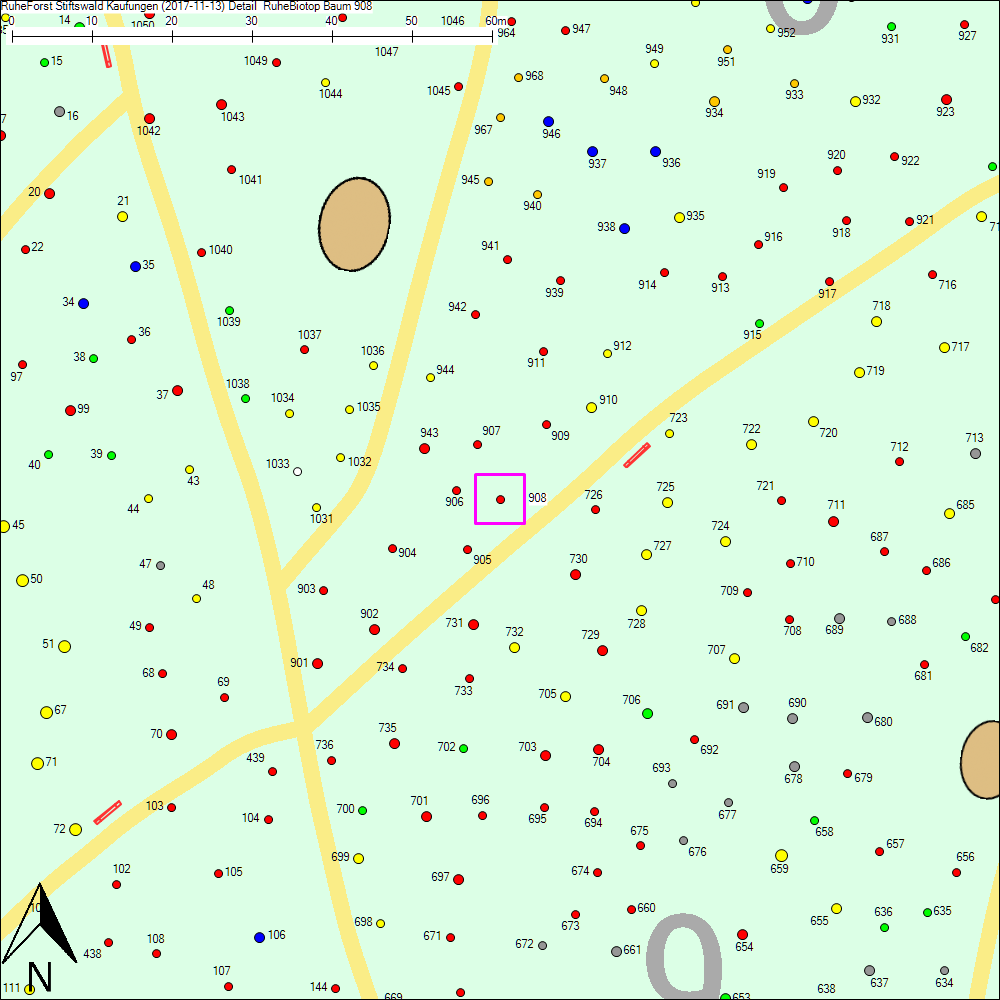 Detailkarte zu Baum 908