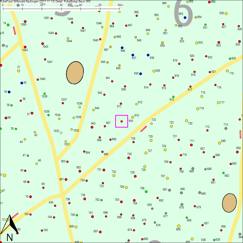 Detailkarte zu Baum 909