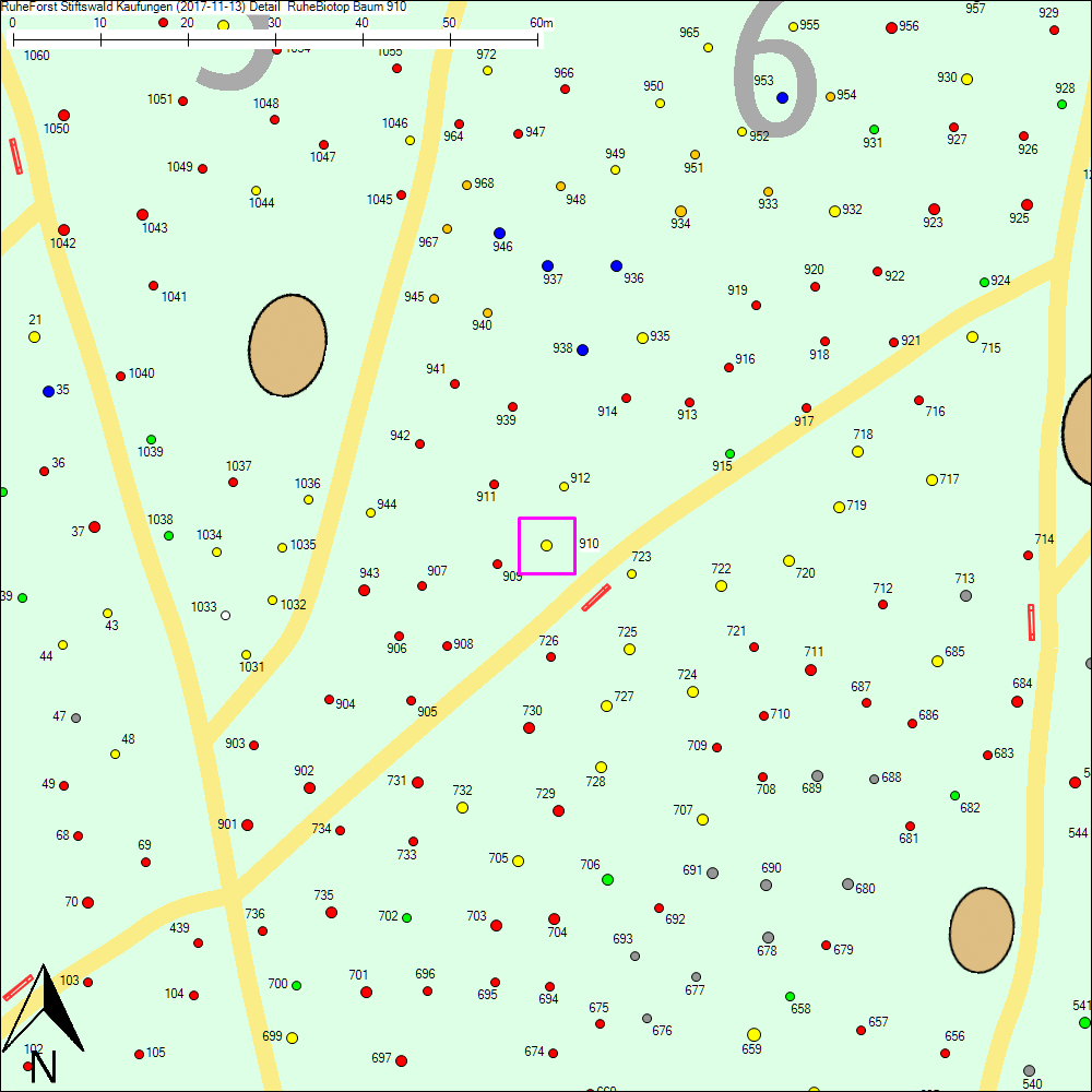 Detailkarte zu Baum 910