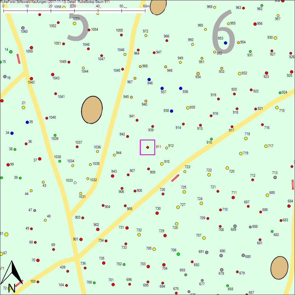 Detailkarte zu Baum 911