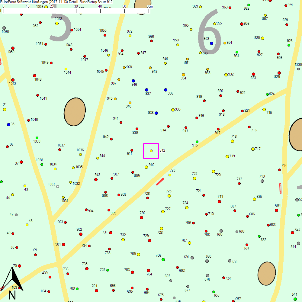 Detailkarte zu Baum 912