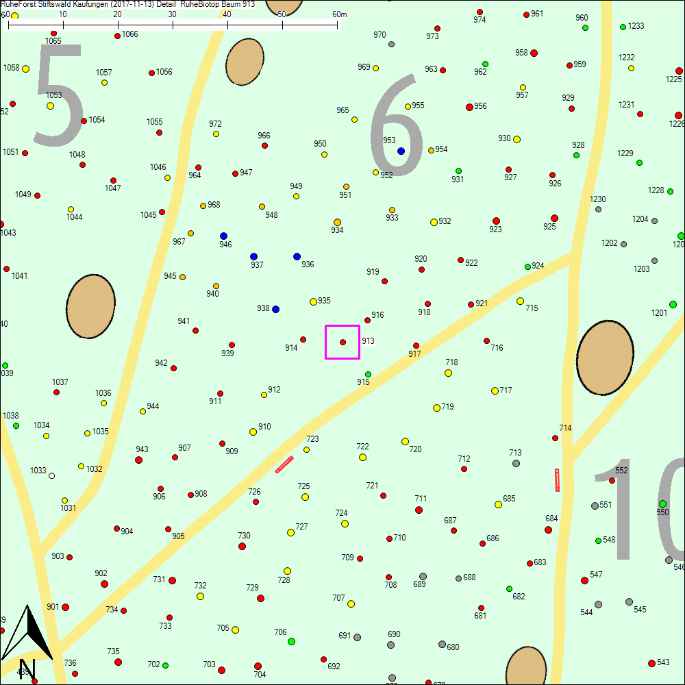 Detailkarte zu Baum 913