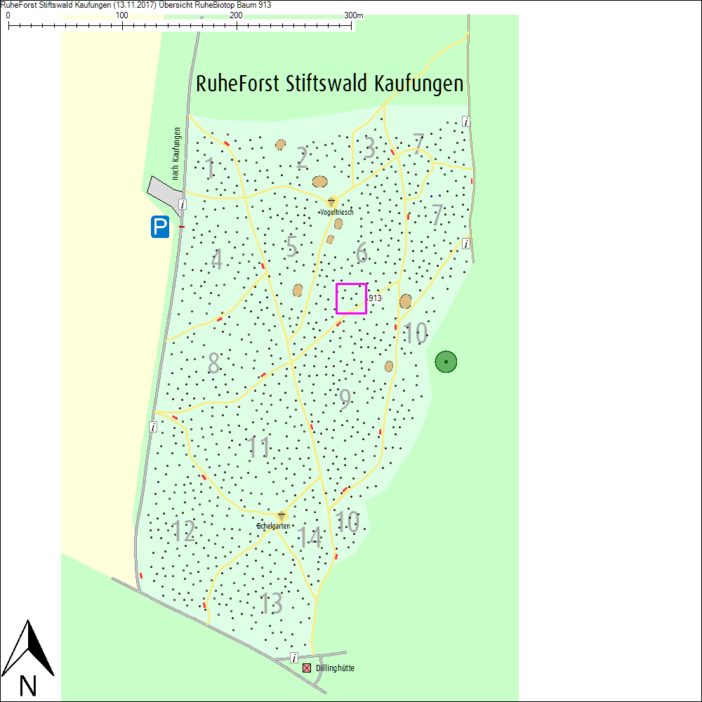 &Uuml;bersichtskarte zu Baum 913