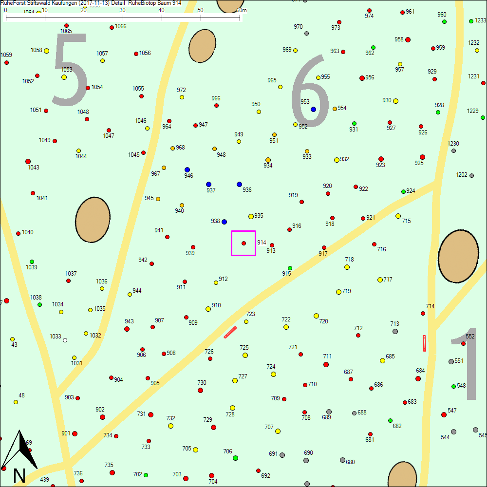 Detailkarte zu Baum 914