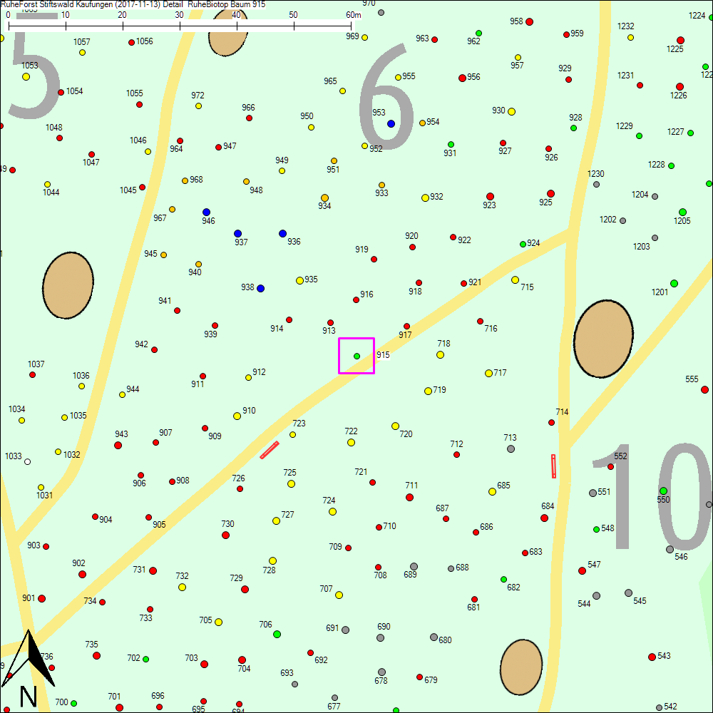 Detailkarte zu Baum 915