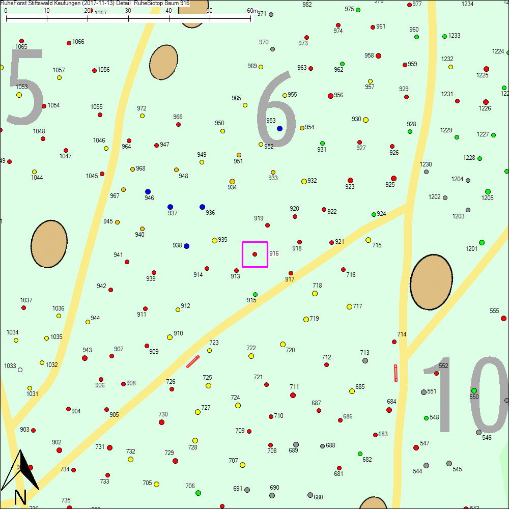 Detailkarte zu Baum 916