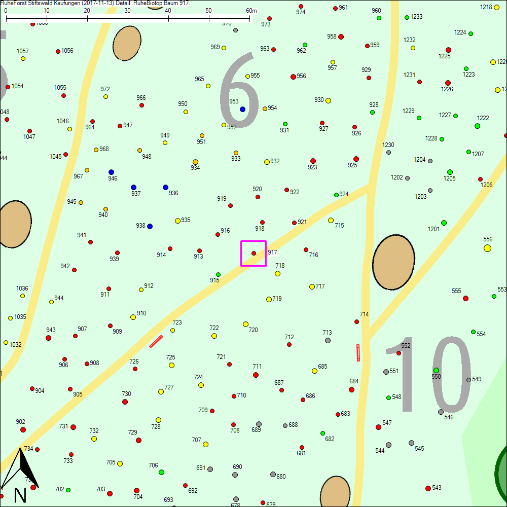 Detailkarte zu Baum 917