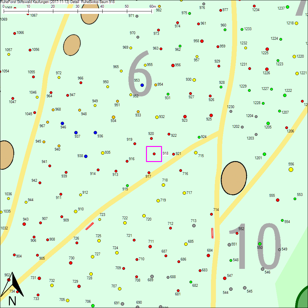 Detailkarte zu Baum 918