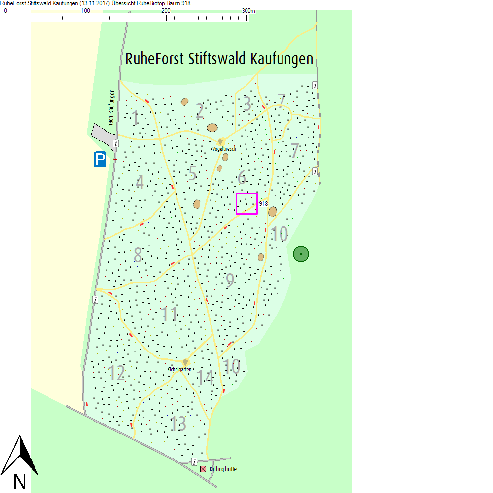 &Uuml;bersichtskarte zu Baum 918