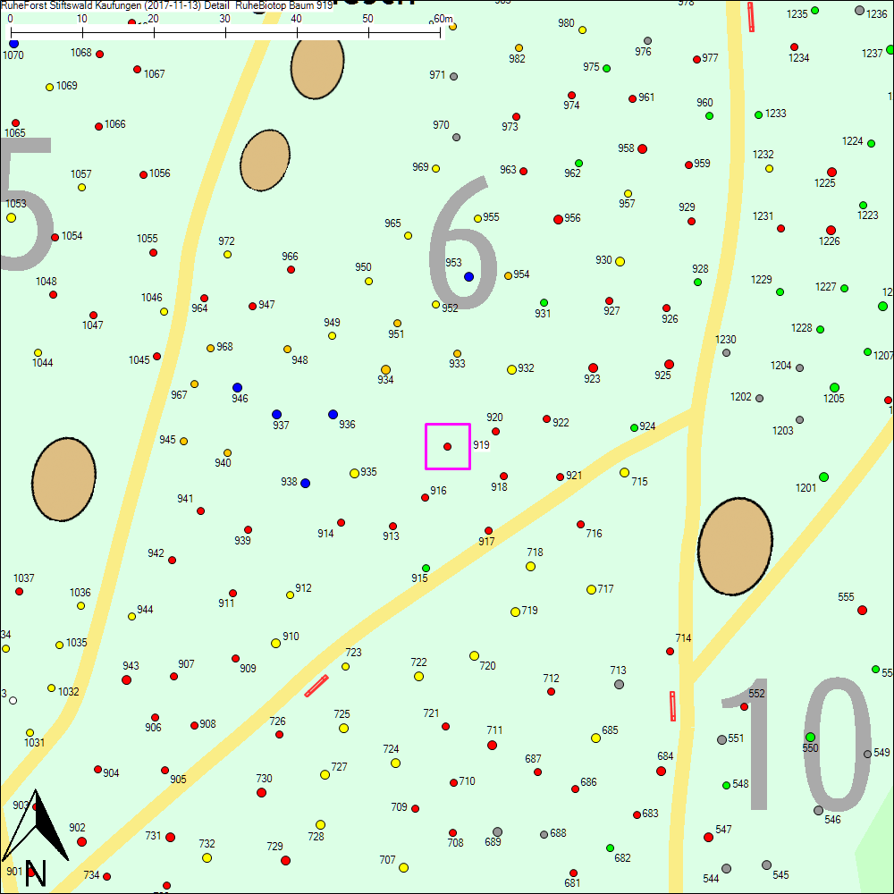 Detailkarte zu Baum 919