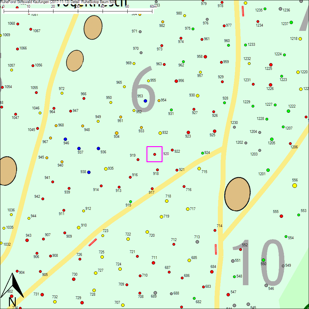 Detailkarte zu Baum 920