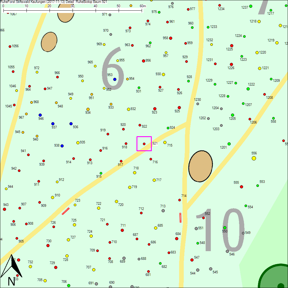 Detailkarte zu Baum 921