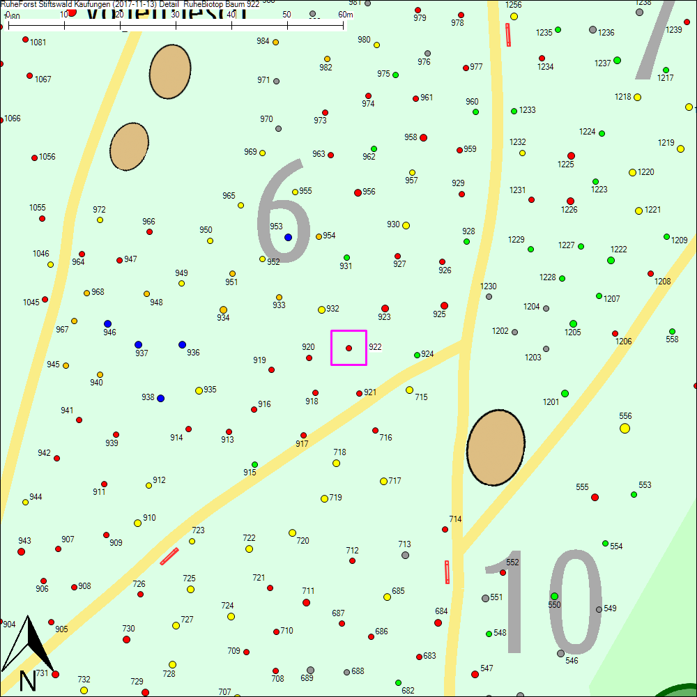 Detailkarte zu Baum 922