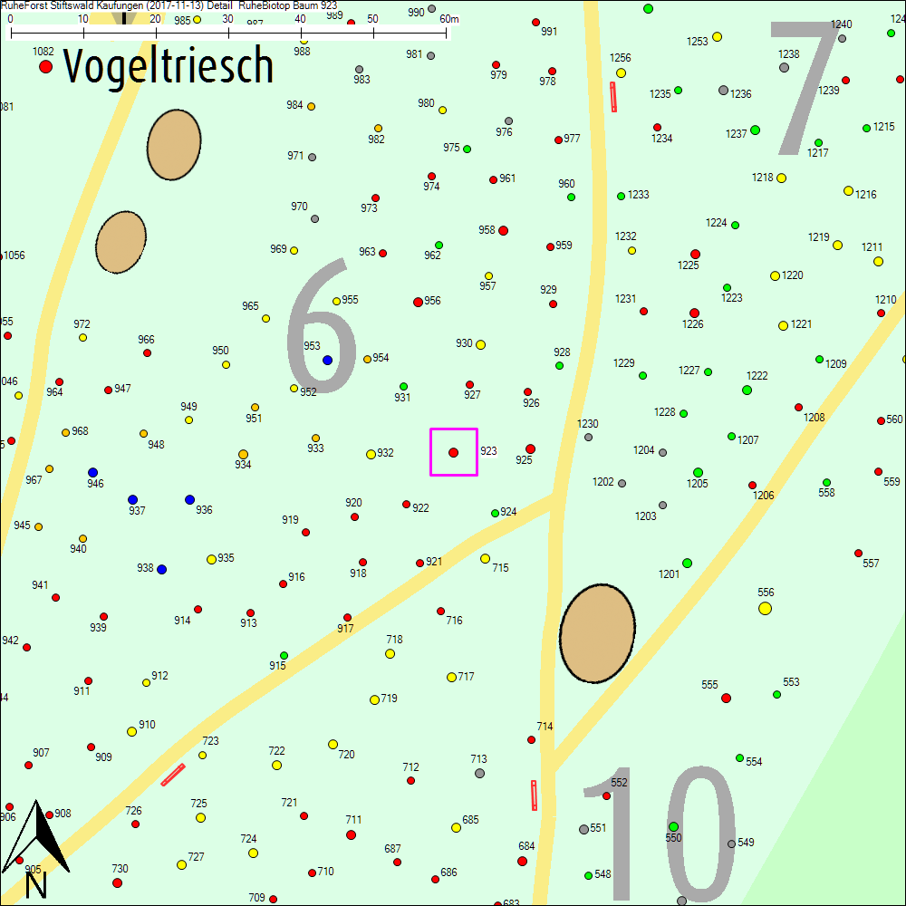 Detailkarte zu Baum 923