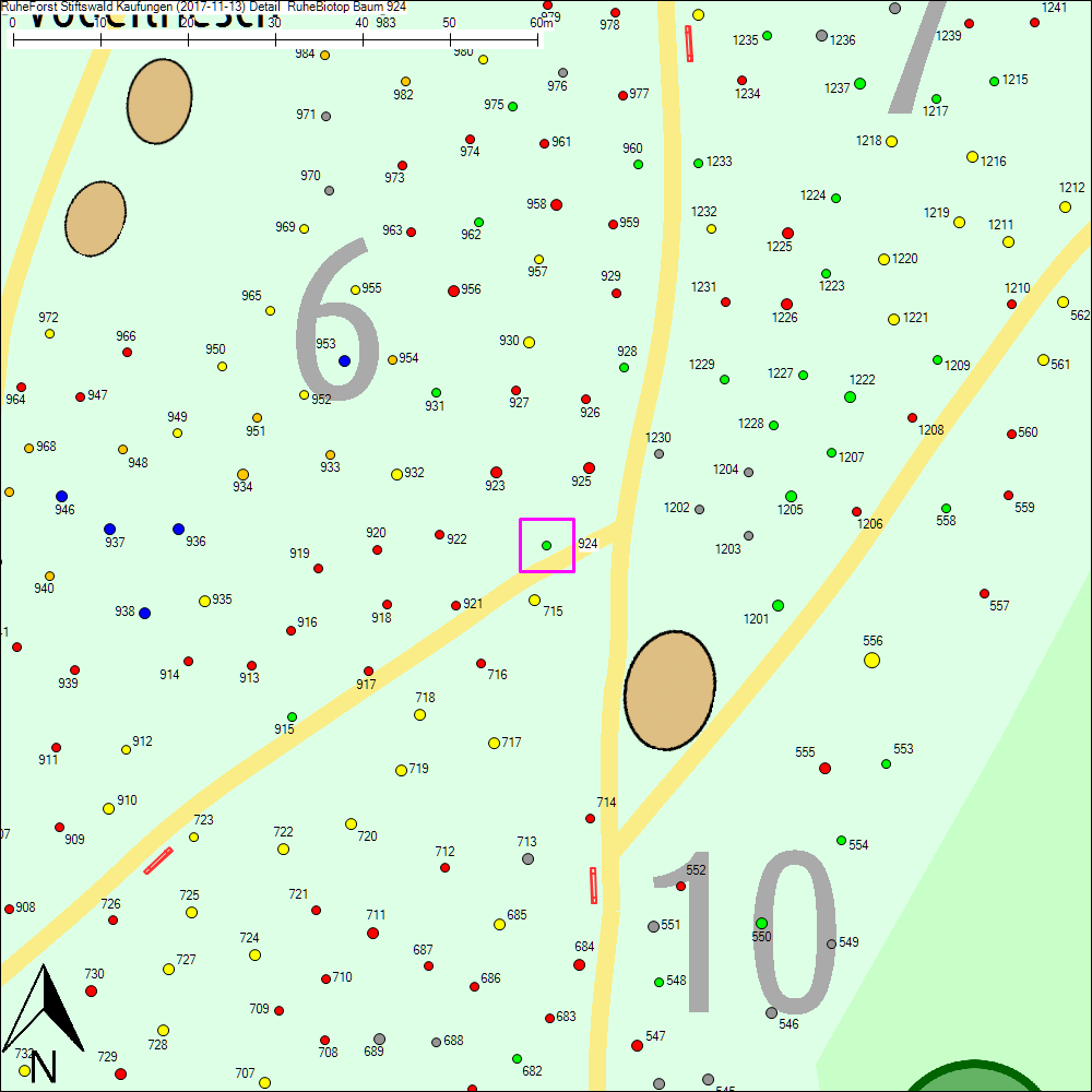 Detailkarte zu Baum 924