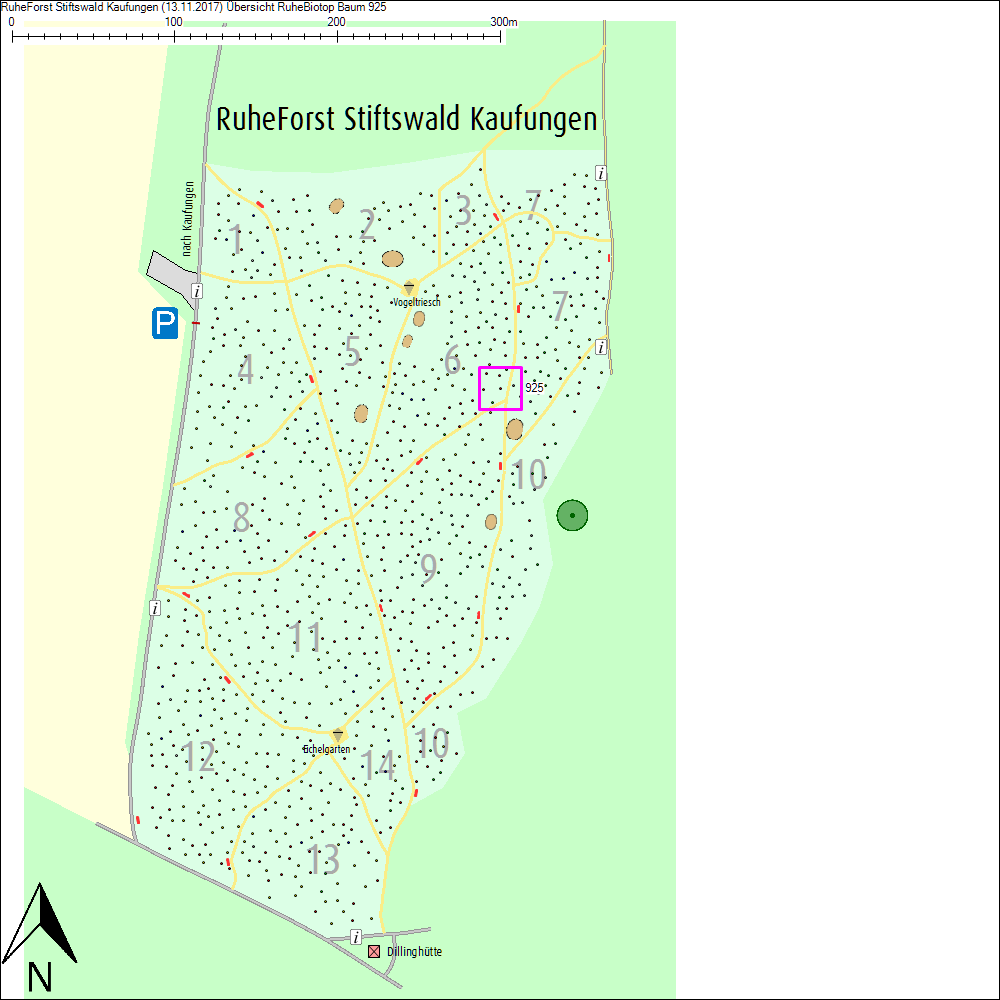 &Uuml;bersichtskarte zu Baum 925