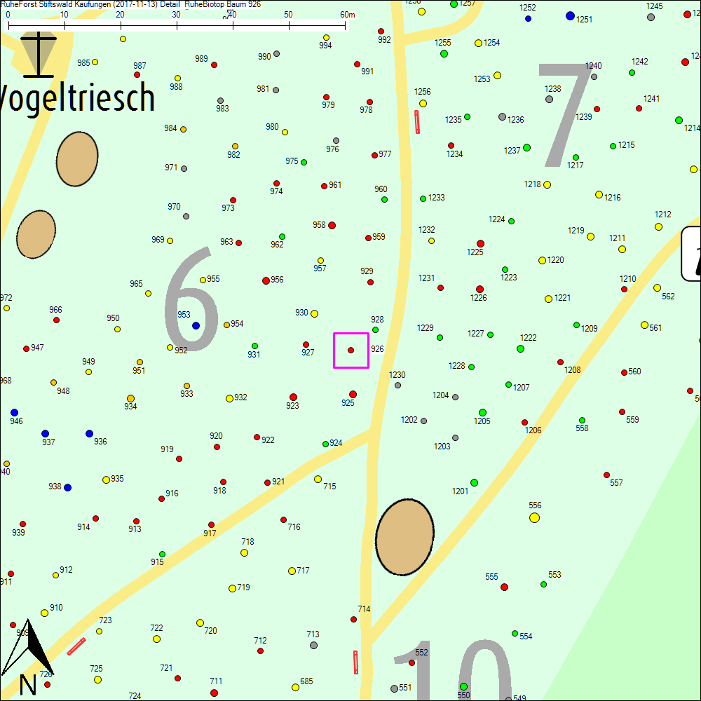 Detailkarte zu Baum 926