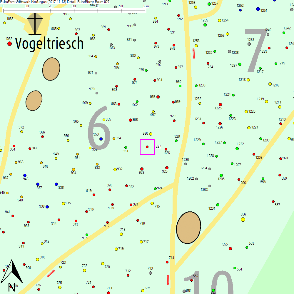 Detailkarte zu Baum 927