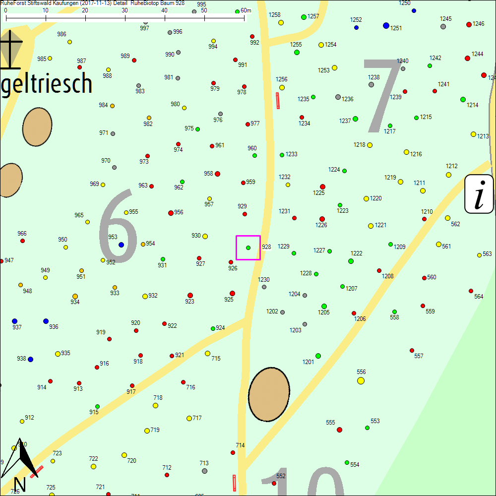 Detailkarte zu Baum 928