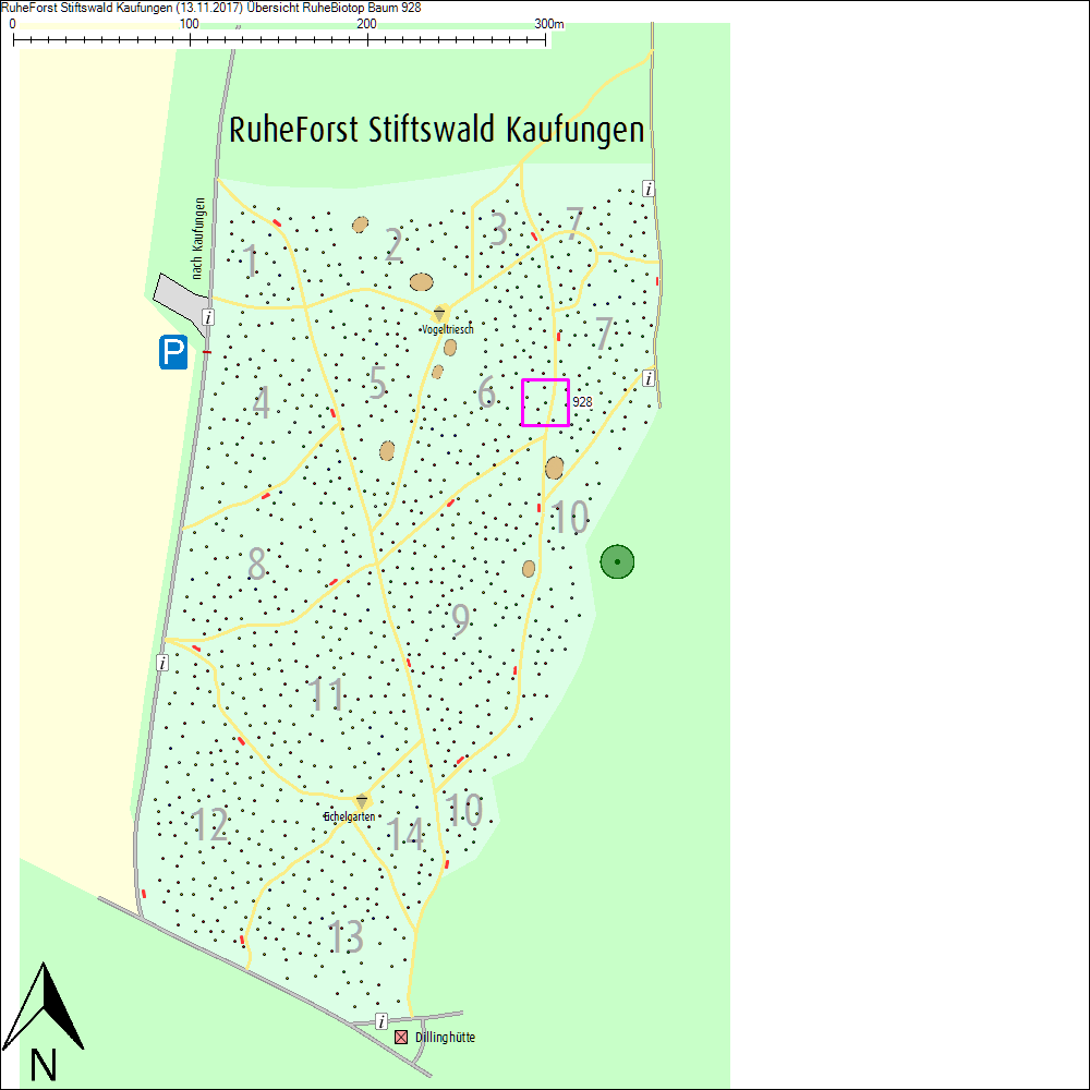 &Uuml;bersichtskarte zu Baum 928