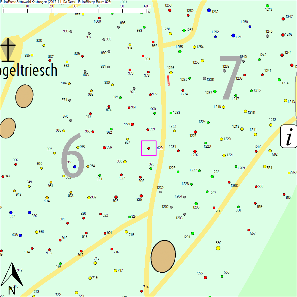 Detailkarte zu Baum 929