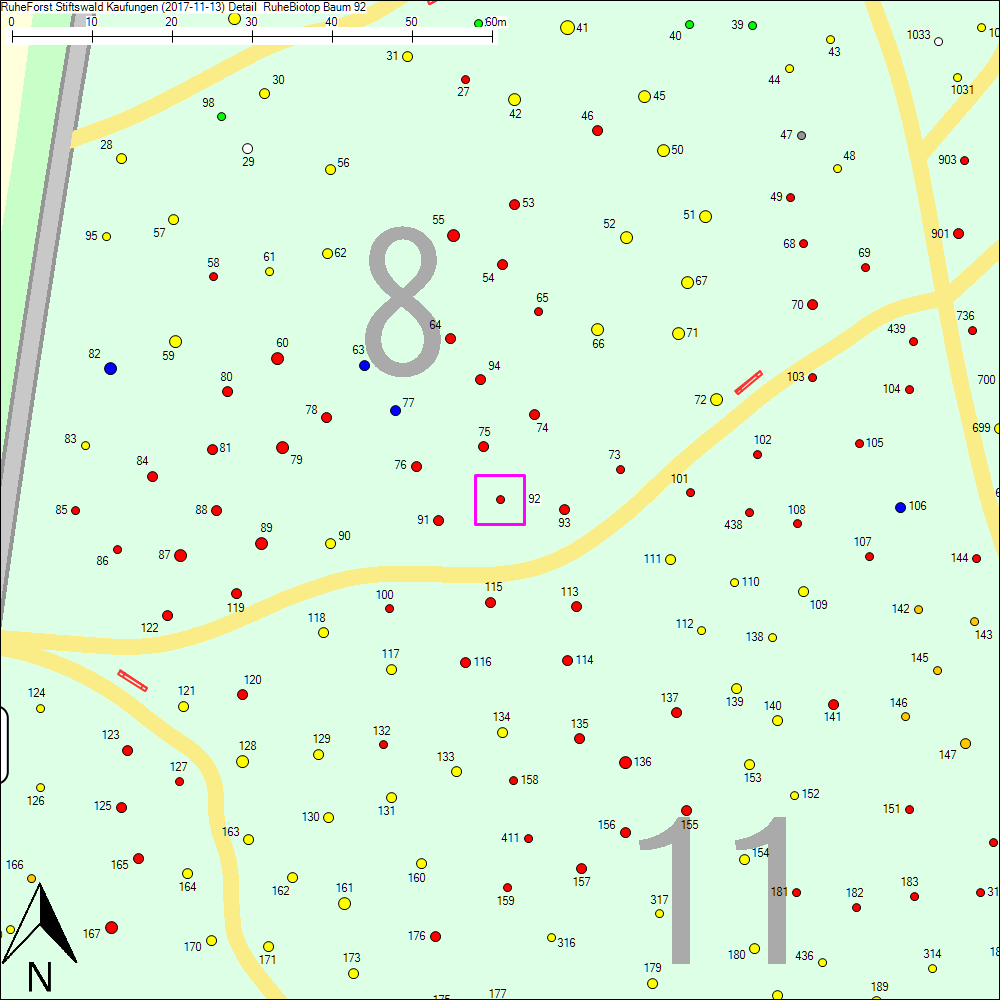 Detailkarte zu Baum 92