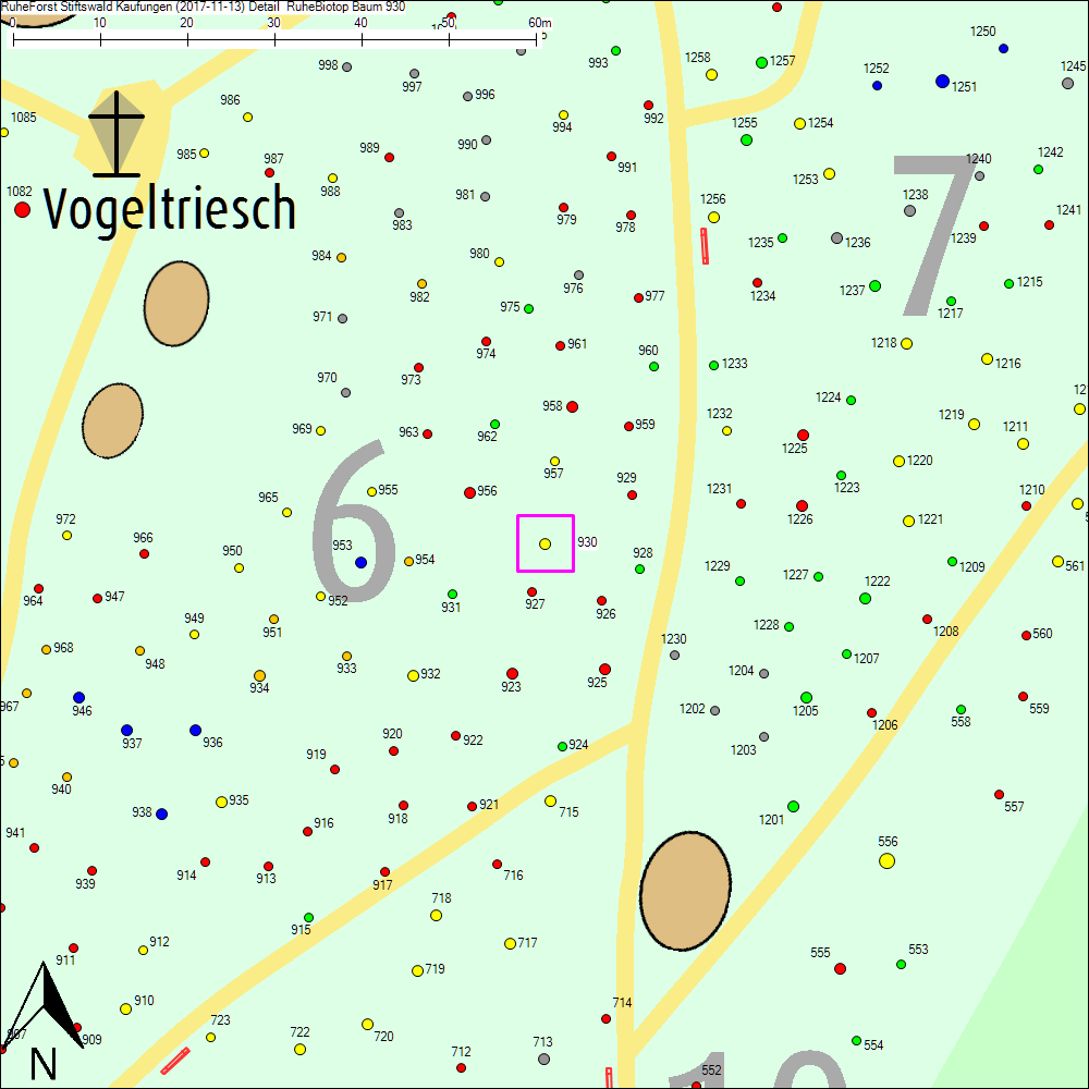 Detailkarte zu Baum 930