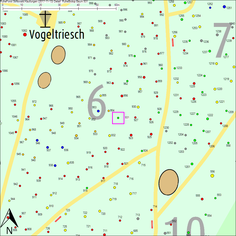 Detailkarte zu Baum 931