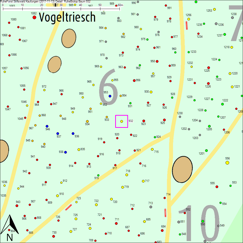 Detailkarte zu Baum 932