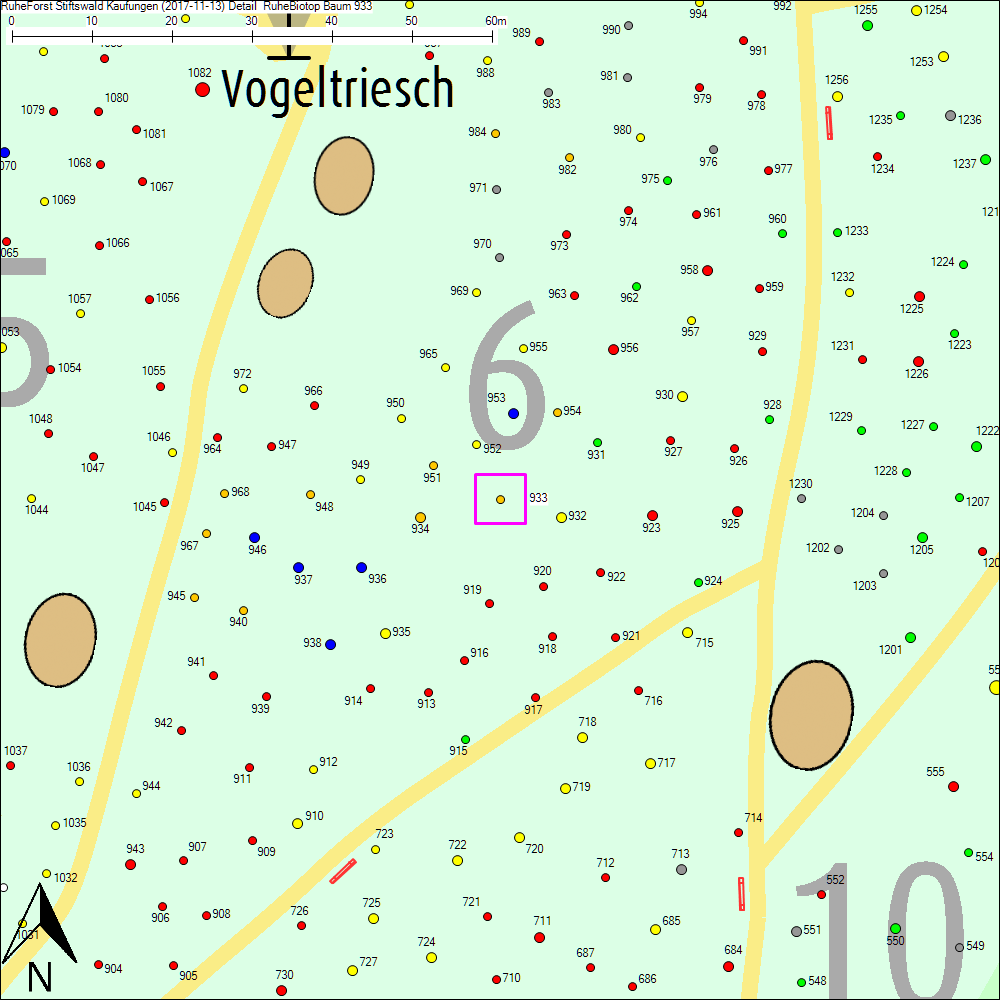 Detailkarte zu Baum 933