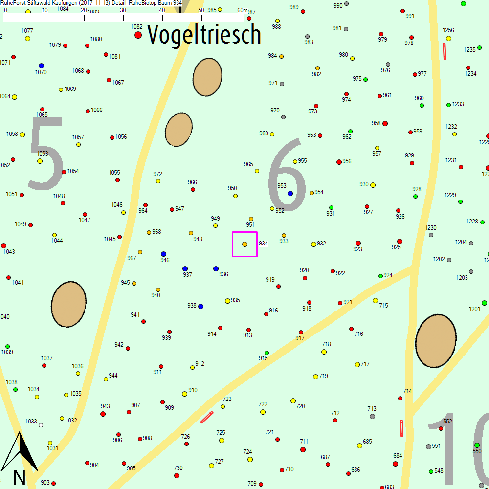 Detailkarte zu Baum 934