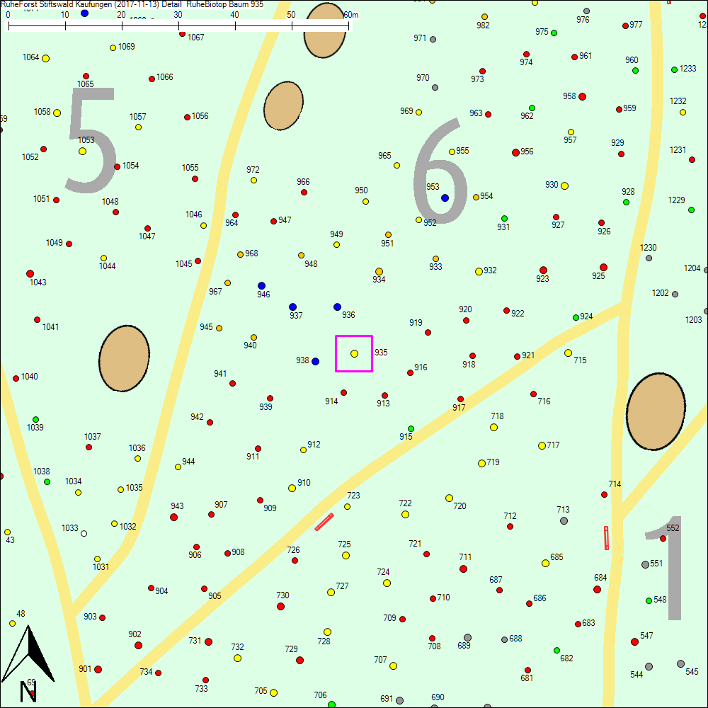Detailkarte zu Baum 935