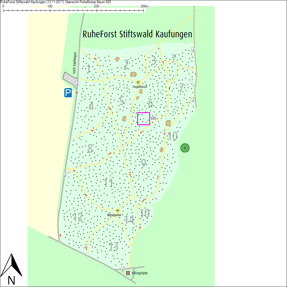 &Uuml;bersichtskarte zu Baum 935