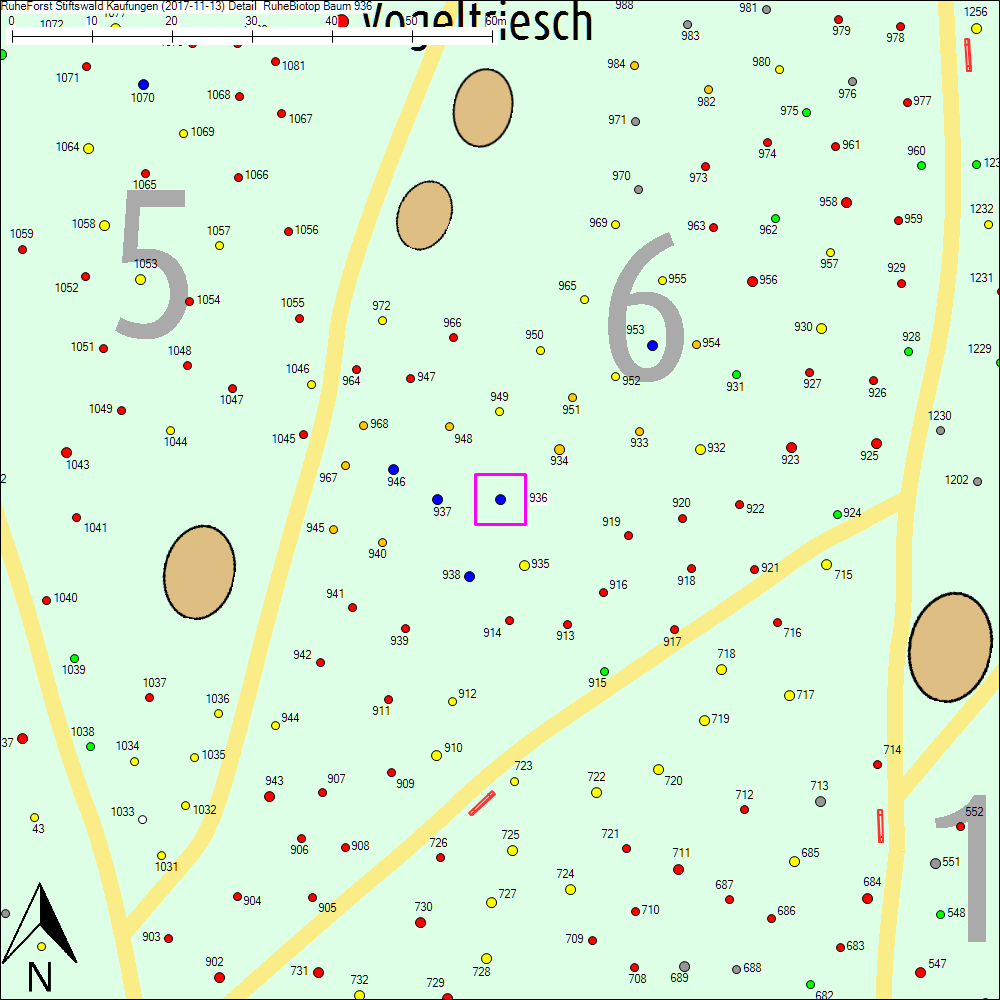 Detailkarte zu Baum 936