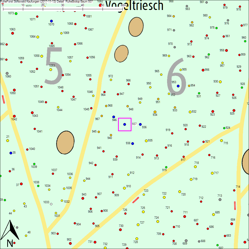 Detailkarte zu Baum 937