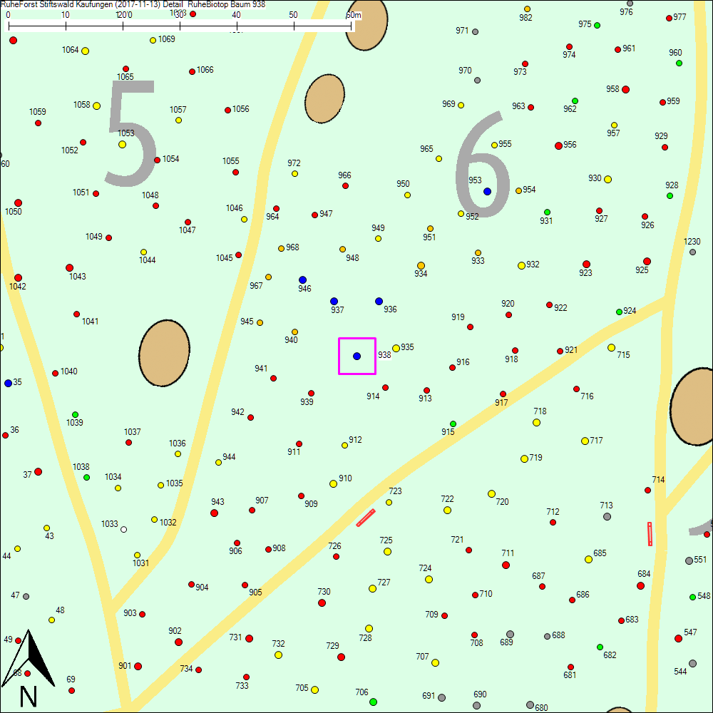 Detailkarte zu Baum 938