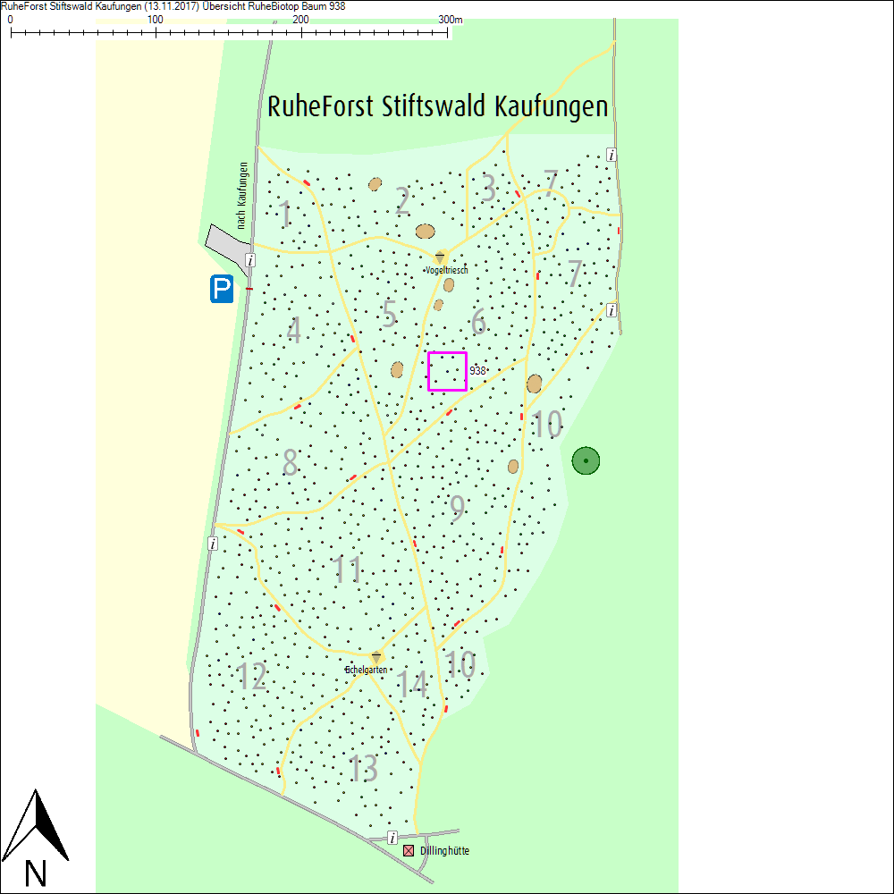 &Uuml;bersichtskarte zu Baum 938