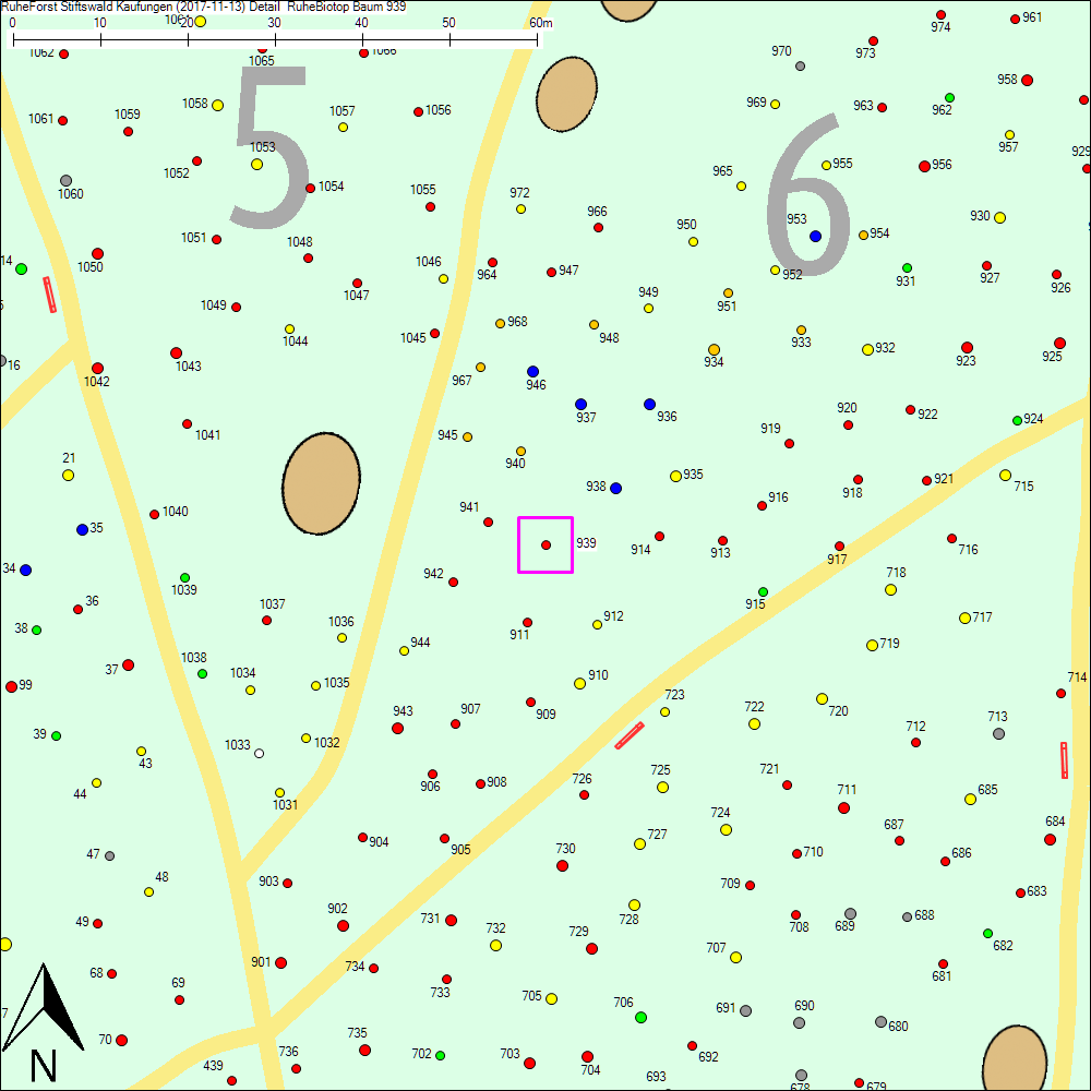 Detailkarte zu Baum 939