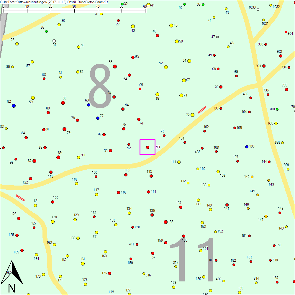 Detailkarte zu Baum 93