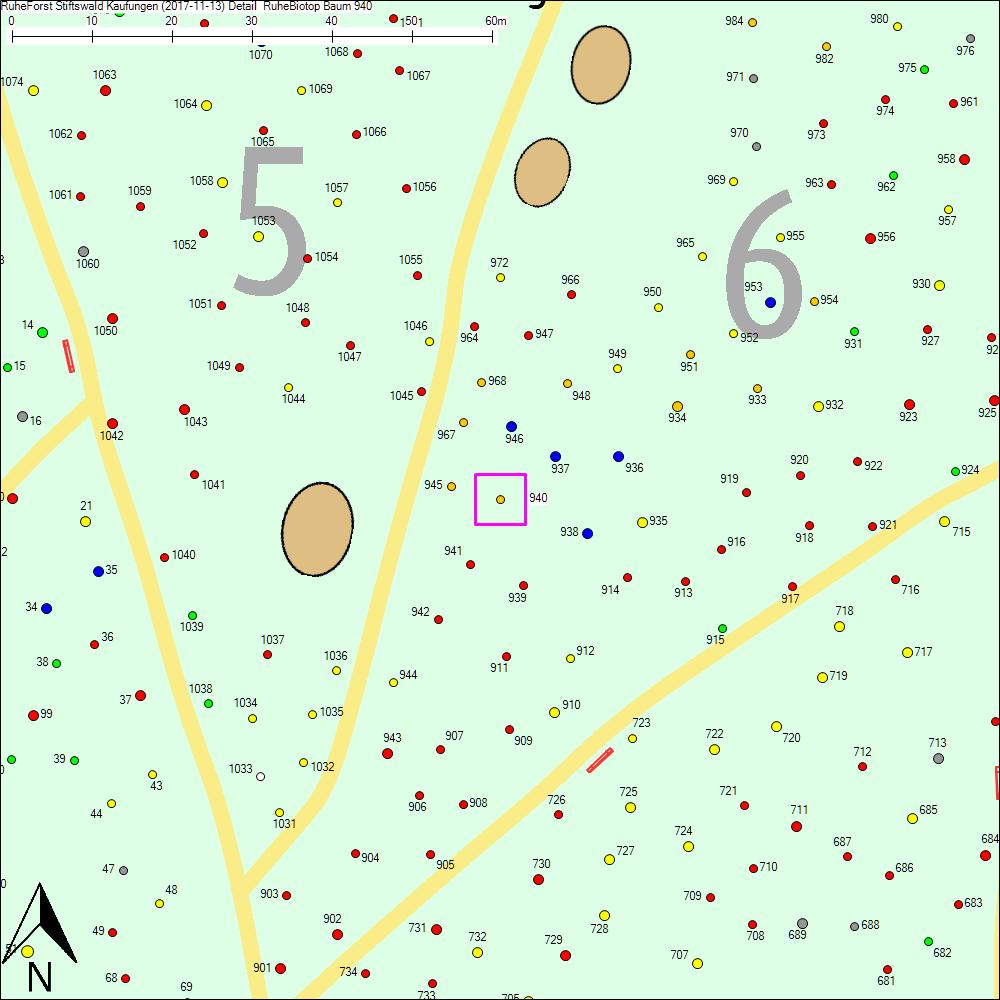 Detailkarte zu Baum 940