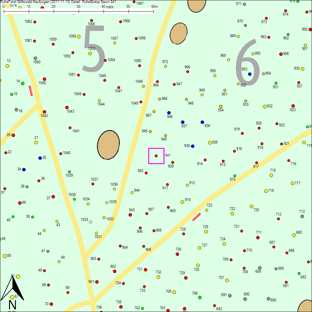 Detailkarte zu Baum 941